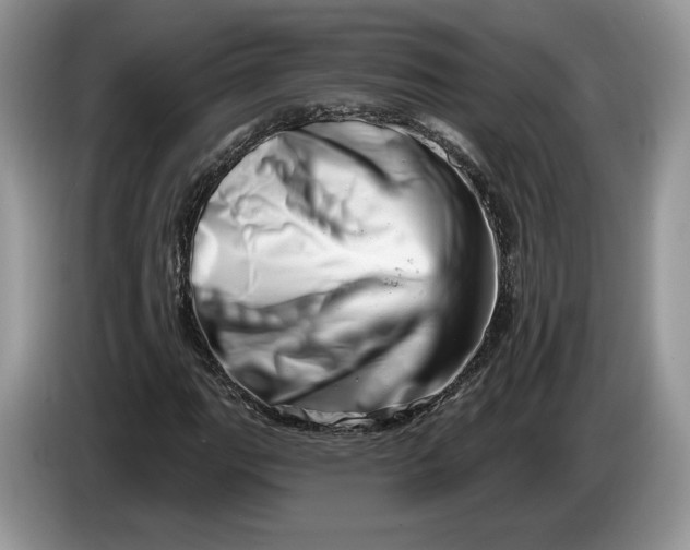 X0000086271111200704122024