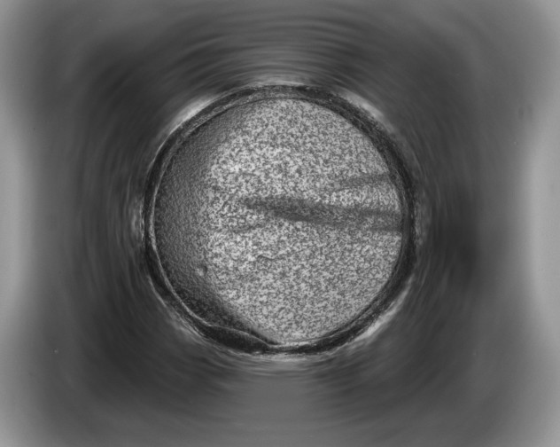 X0000086271113200704122024