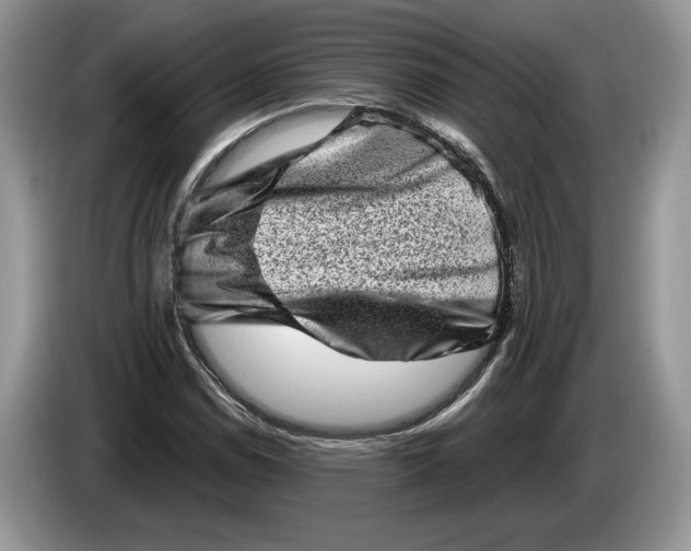 X0000086271114200704122024