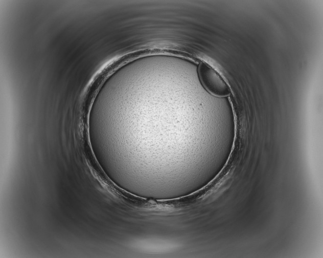 X0000086271115200704122024