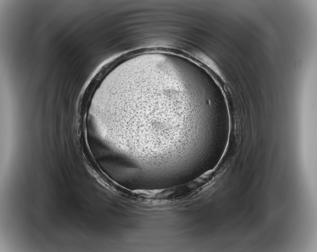 X0000086271116200704122024