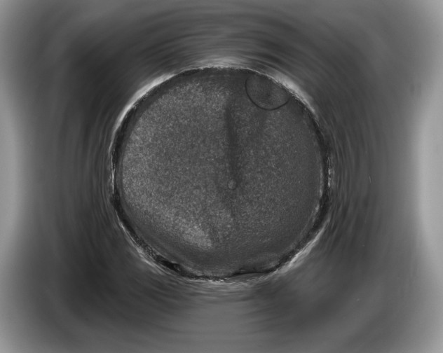 X0000086271117200704122024