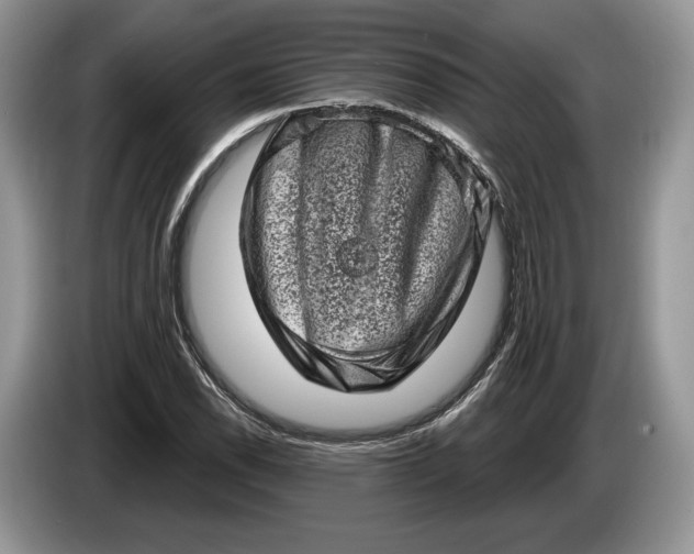 X0000086271118200704122024