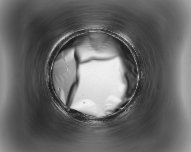 X0000086271119200704122024