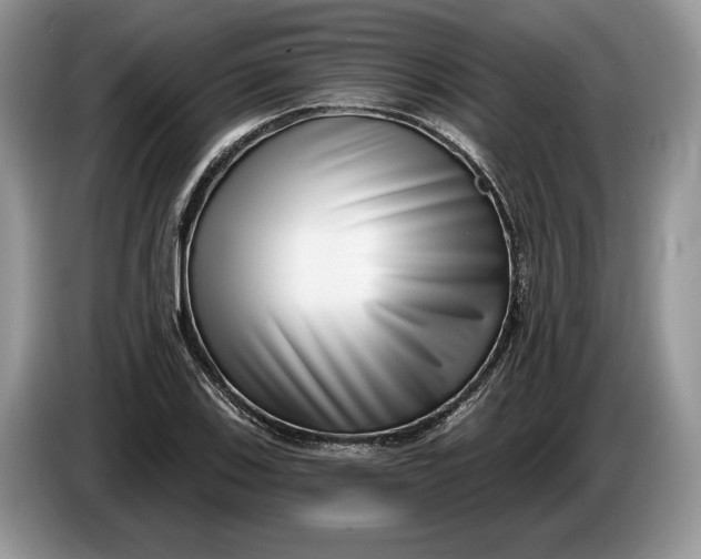 X0000086271123200704122024