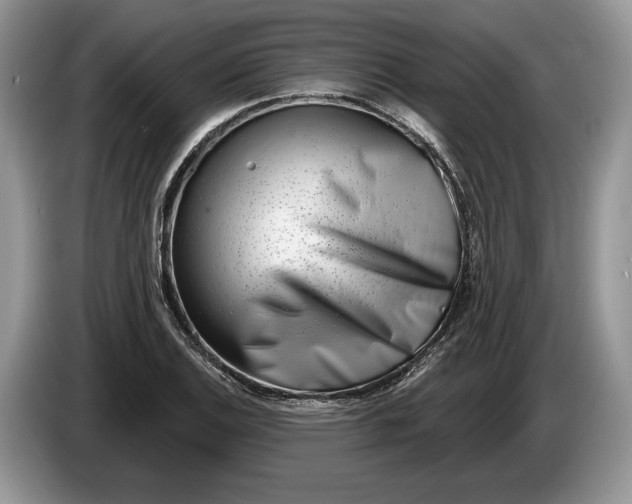 X0000086271124200704122024