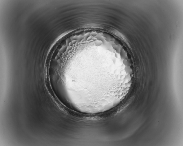 X0000086271125200704122024