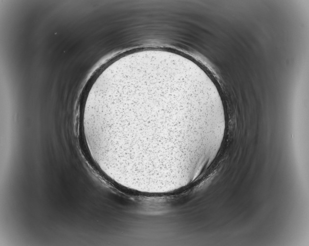 X0000086271126200704122024