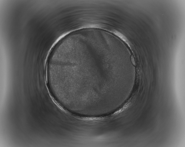 X0000086271127200704122024