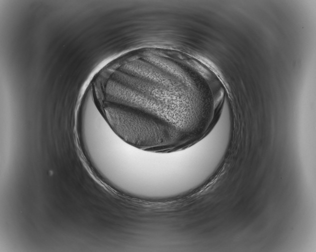 X0000086271128200704122024