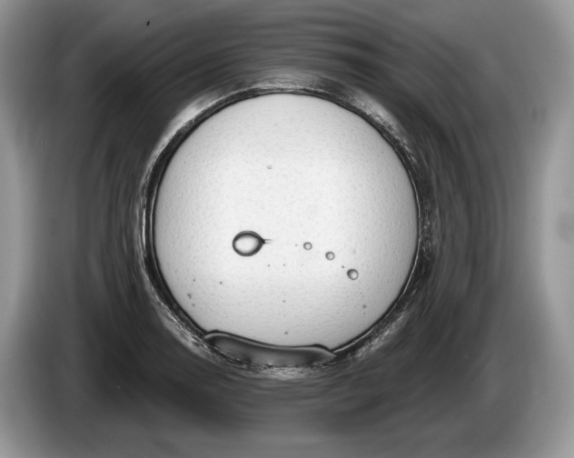 X0000086271130200704122024