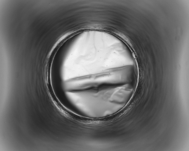 X0000086271131200704122024