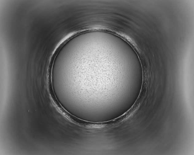 X0000086271134200704122024