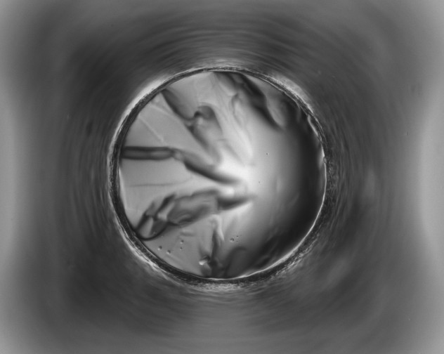 X0000086271135200704122024