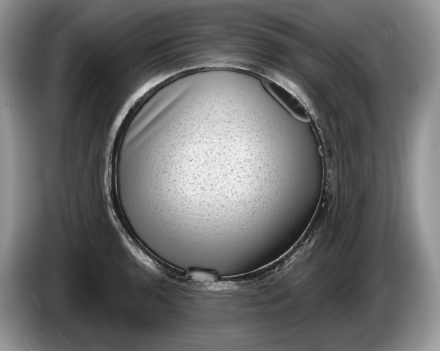 X0000086271136200704122024