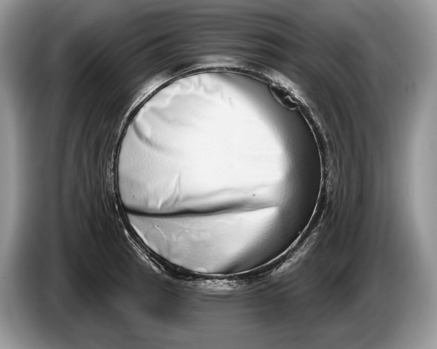 X0000086271137200704122024