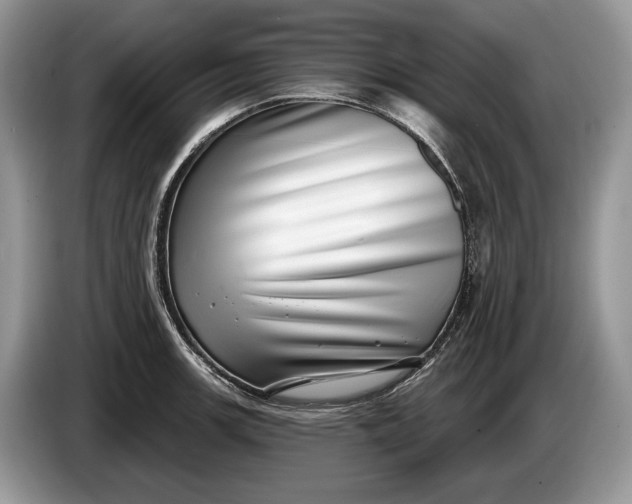 X0000086271139200704122024