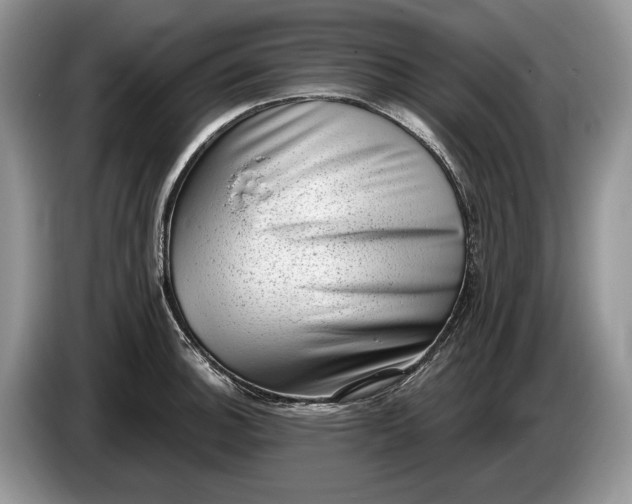 X0000086271140200704122024