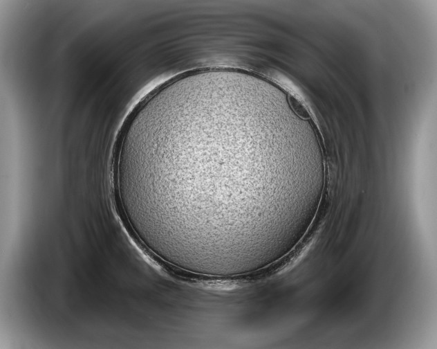 X0000086271141200704122024