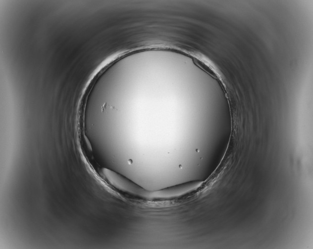 X0000086271142200704122024