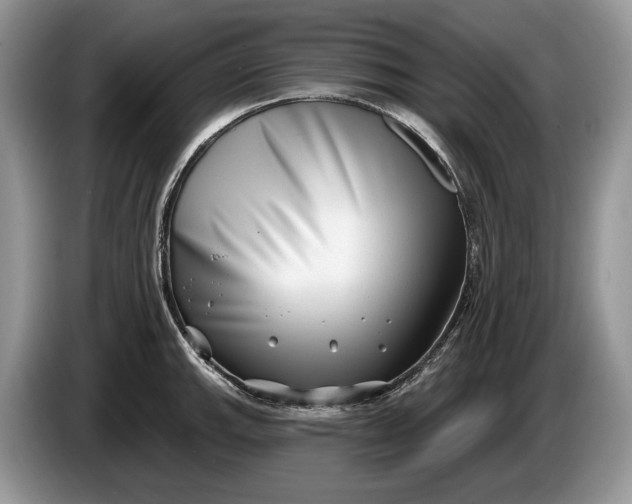 X0000086271143200704122024