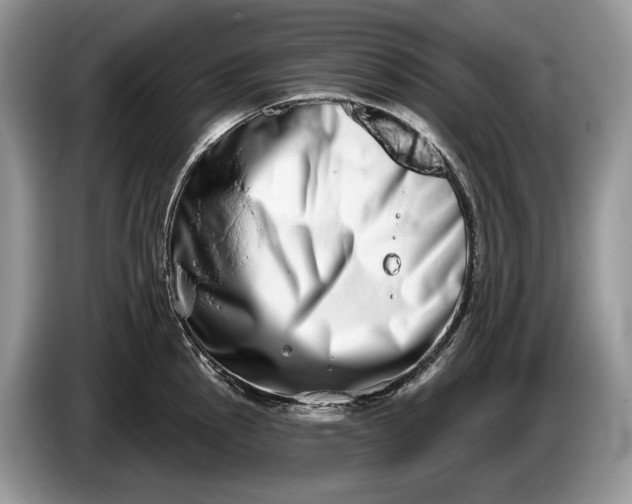 X0000086271145200704122024