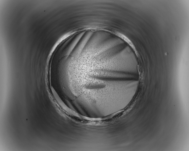 X0000086271146200704122024