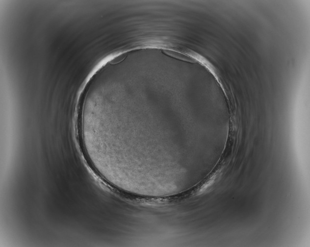 X0000086271147200704122024