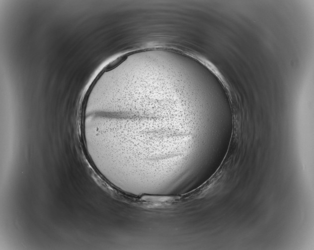 X0000086271148200704122024