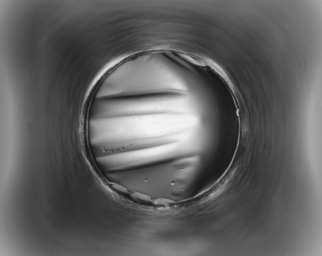 X0000086271149200704122024