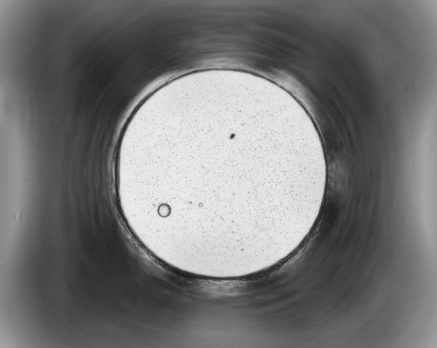 X0000086271150200704122024