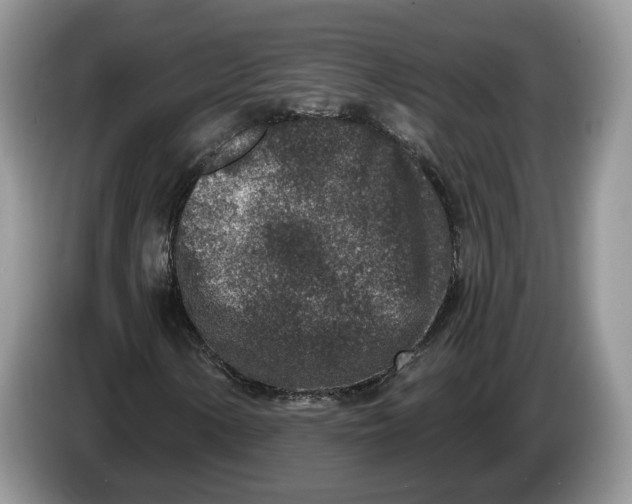 X0000086271154200704122024