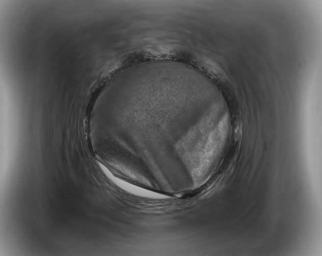 X0000086271156200704122024