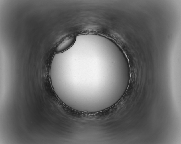 X0000086271158200704122024