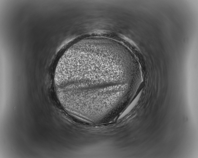 X0000086271160200704122024