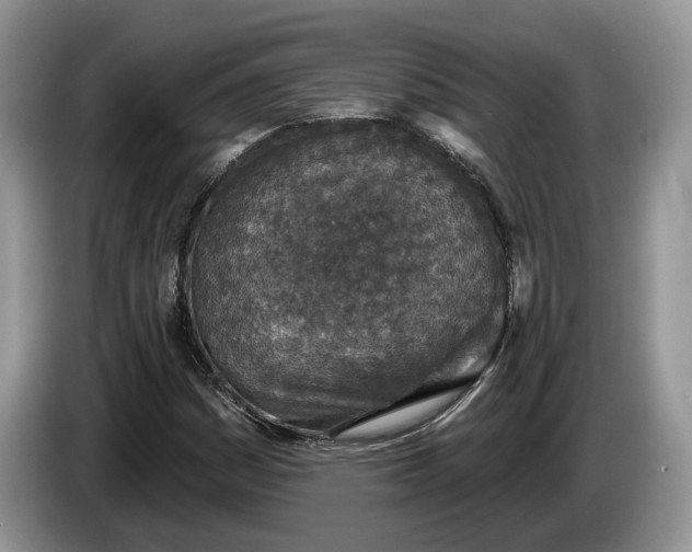 X0000086271161200704122024