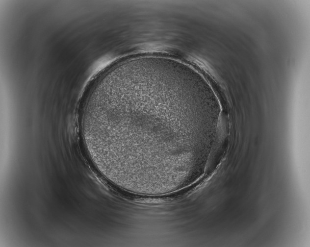 X0000086271164200704122024