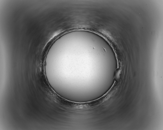 X0000086271165200704122024