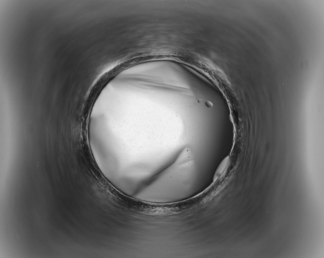 X0000086271166200704122024