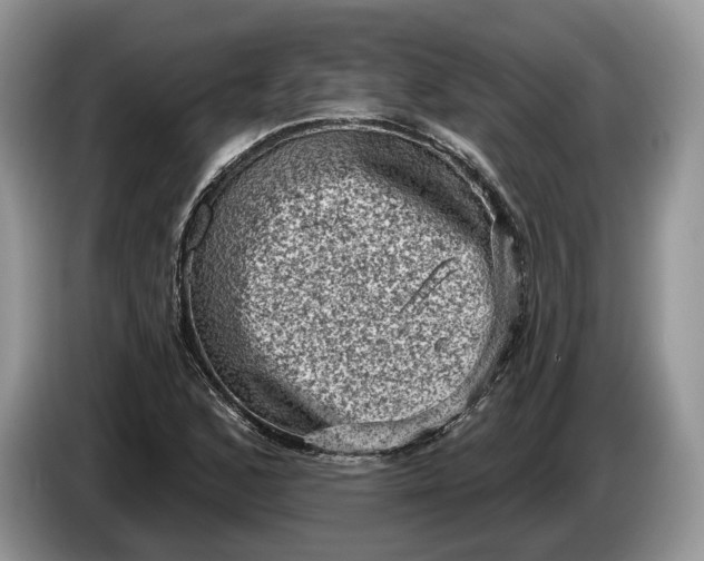 X0000086271168200704122024