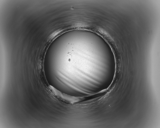 X0000086271169200704122023