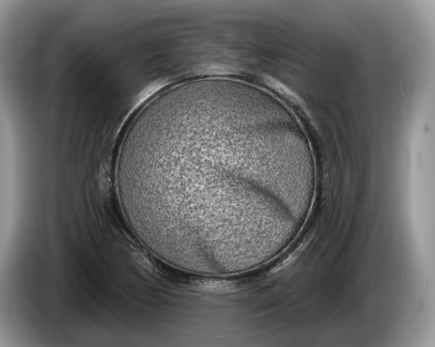 X0000086271170200704122023