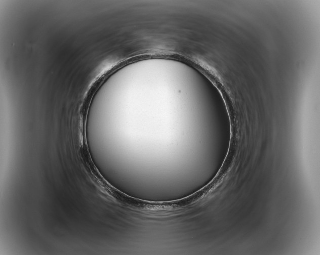 X0000086271171200704122023