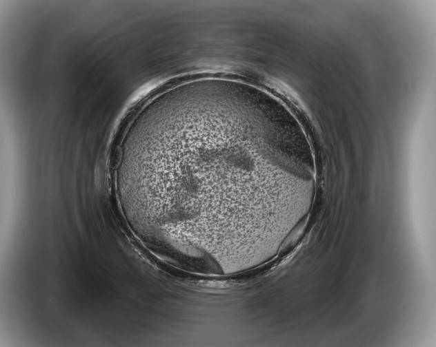 X0000086271172200704122023