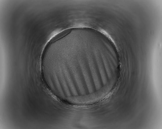 X0000086271173200704122023