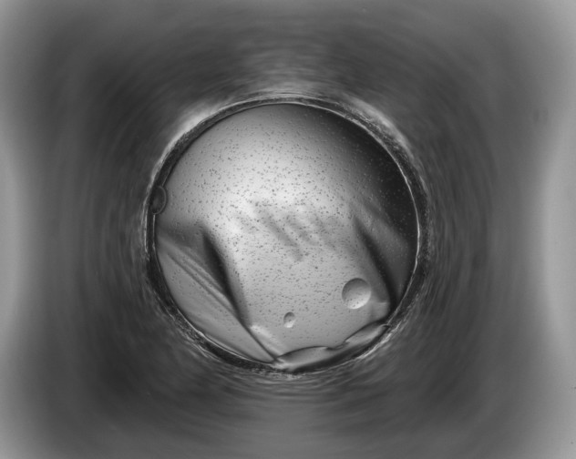 X0000086271174200704122023