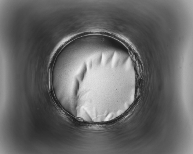 X0000086271175200704122023