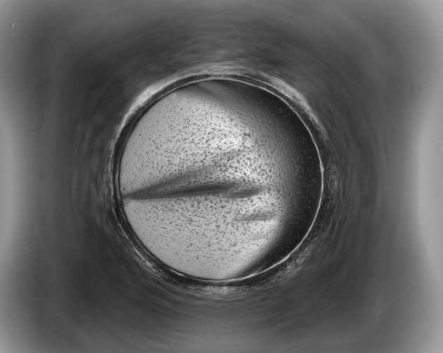 X0000086271176200704122023