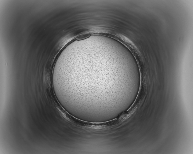 X0000086271177200704122023