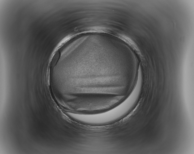 X0000086271180200704122023